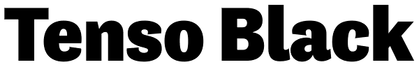 Tenso Black Font