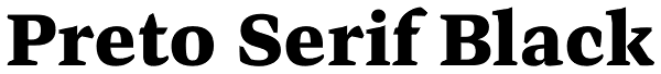 Preto Serif Black Font