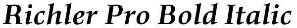 Richler Pro Bold Italic Font