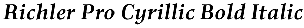 Richler Pro Cyrillic Bold Italic Font
