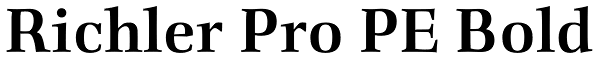 Richler Pro PE Bold Font