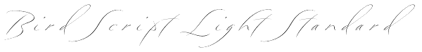 Bird Script Light Standard Font