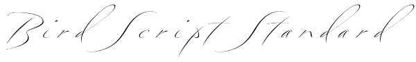 Bird Script Standard Font