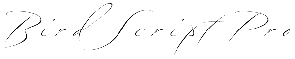 Bird Script Pro Font