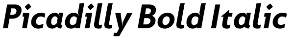 Picadilly Bold Italic Font