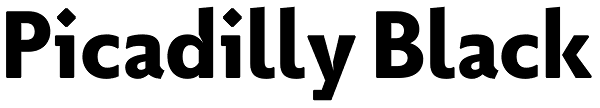 Picadilly Black Font