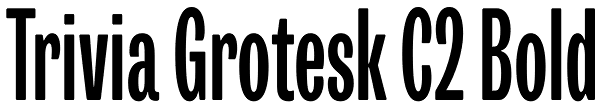 Trivia Grotesk C2 Bold Font