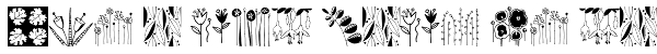 Flowerand Leaf Borders Font