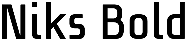 Niks Bold Font