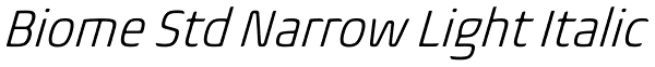 Biome Std Narrow Light Italic Font