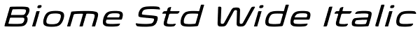 Biome Std Wide Italic Font