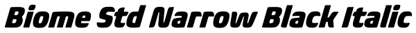 Biome Std Narrow Black Italic Font