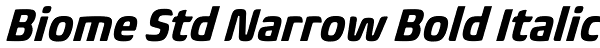 Biome Std Narrow Bold Italic Font