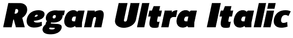 Regan Ultra Italic Font