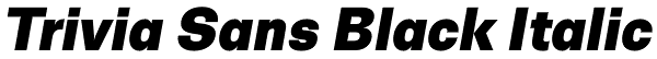 Trivia Sans Black Italic Font