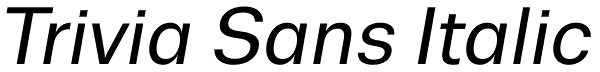 Trivia Sans Italic Font