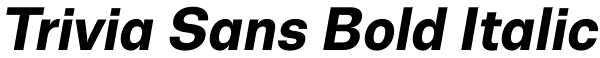 Trivia Sans Bold Italic Font
