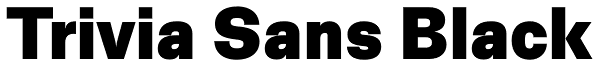 Trivia Sans Black Font