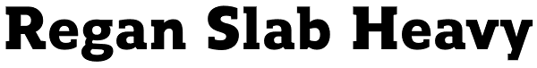 Regan Slab Heavy Font