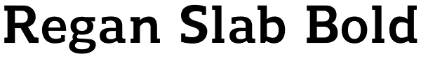 Regan Slab Bold Font