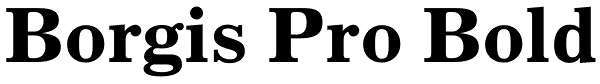 Borgis Pro Bold Font