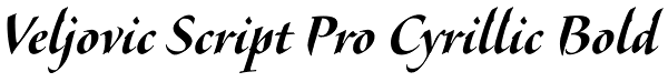 Veljovic Script Pro Cyrillic Bold Font
