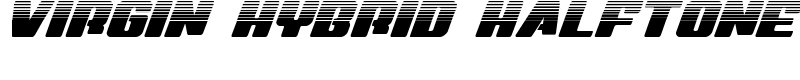 Virgin Hybrid Halftone Font