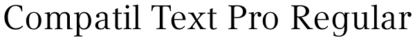 Compatil Text Pro Regular Font