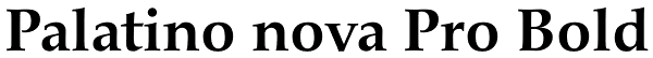 Palatino nova Pro Bold Font