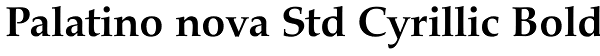 Palatino nova Std Cyrillic Bold Font