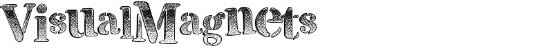 VisualMagnets Font