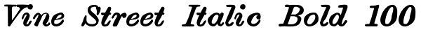 Vine Street Italic Bold 100 Font