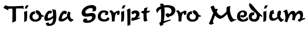 Tioga Script Pro Medium Font