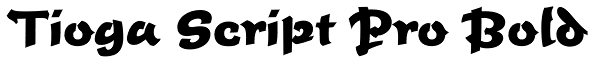 Tioga Script Pro Bold Font
