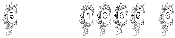 Bruce 1065 Ornamental Font