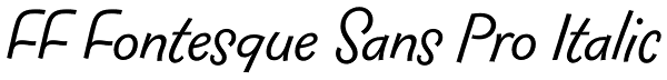 FF Fontesque Sans Pro Italic Font