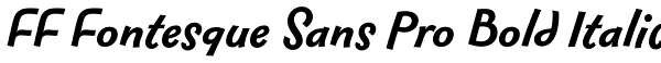 FF Fontesque Sans Pro Bold Italic Font
