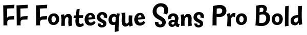 FF Fontesque Sans Pro Bold Font