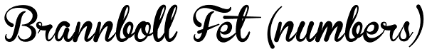 Brannboll Fet (numbers) Font