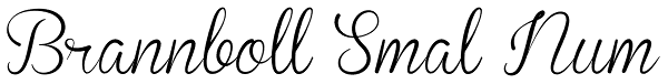 Brannboll Smal Num Font