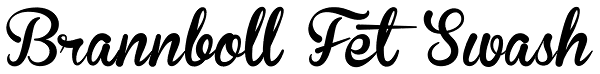 Brannboll Fet Swash Font
