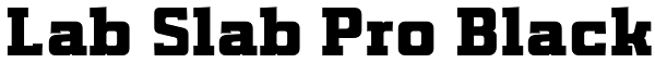 Lab Slab Pro Black Font
