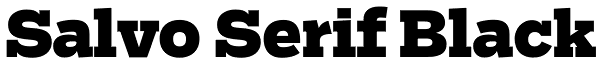 Salvo Serif Black Font