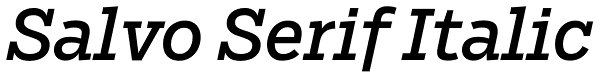 Salvo Serif Italic Font