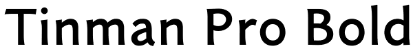 Tinman Pro Bold Font