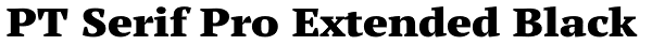 PT Serif Pro Extended Black Font