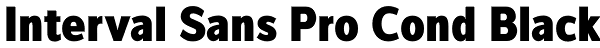 Interval Sans Pro Cond Black Font