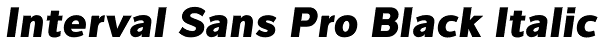 Interval Sans Pro Black Italic Font