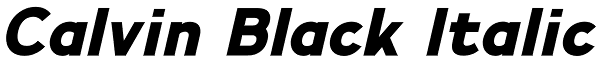 Calvin Black Italic Font