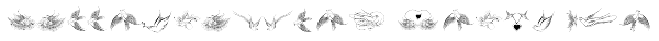 Calligraphic Birds Two Font